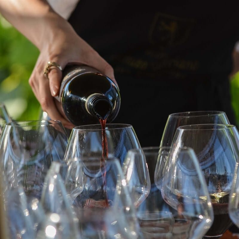 Tenuta Torciano Winery - Dinner in the Vineyard - Gift Voucher