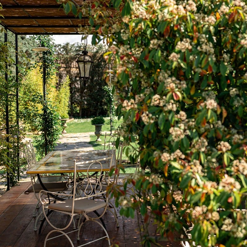 Cheese Tasting with Red & White Wines